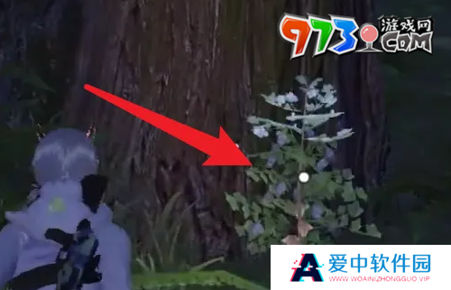 《黎明觉醒》草木纤维获取方法
