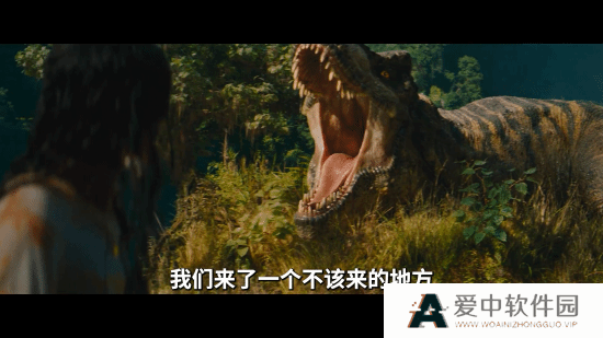 本站