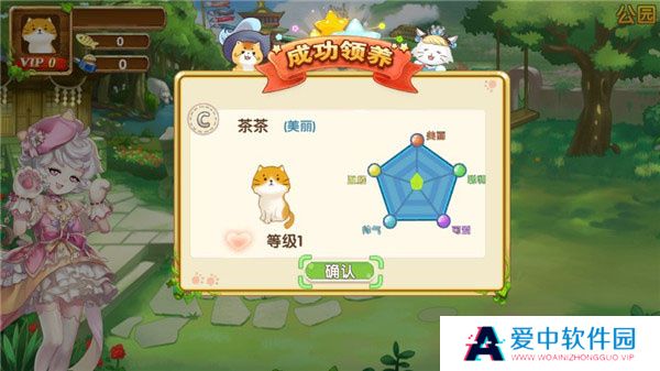 花样猫咪
